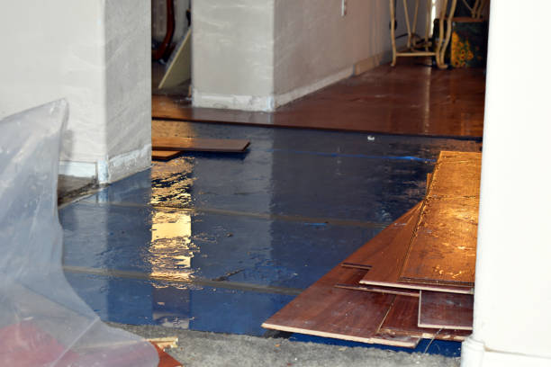 Professional Sewage Cleanup technician working in Parker City, IN